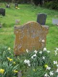 image of grave number 316525